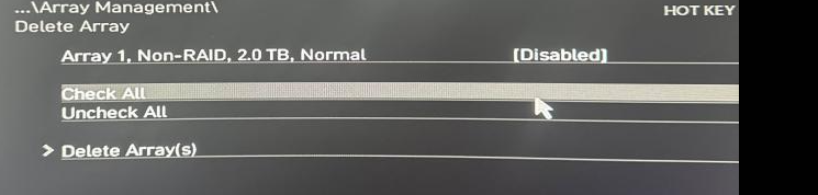 RAID Array Configuration